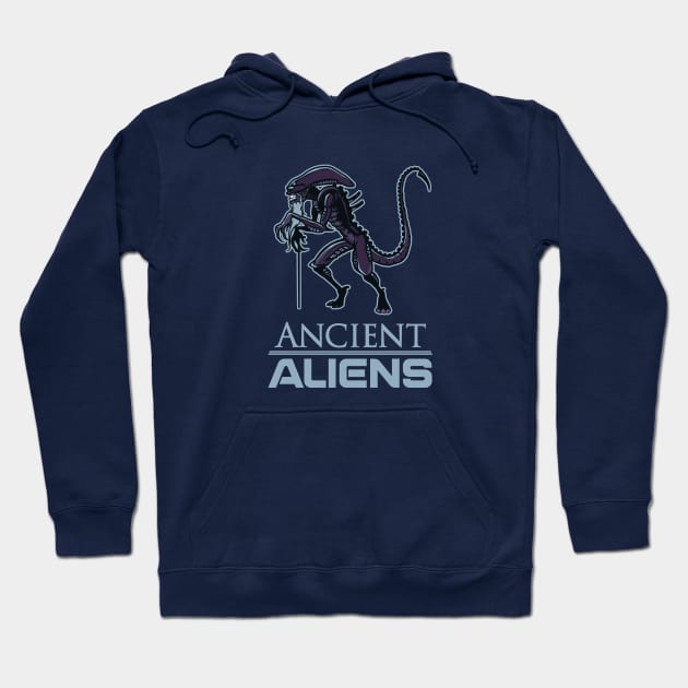 Ancient Aliens Hoodie by AndreusD